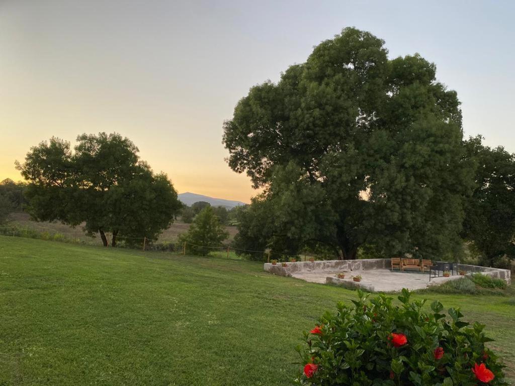 Il Casale Delle Rose Aparthotel Paganico  Exteriör bild