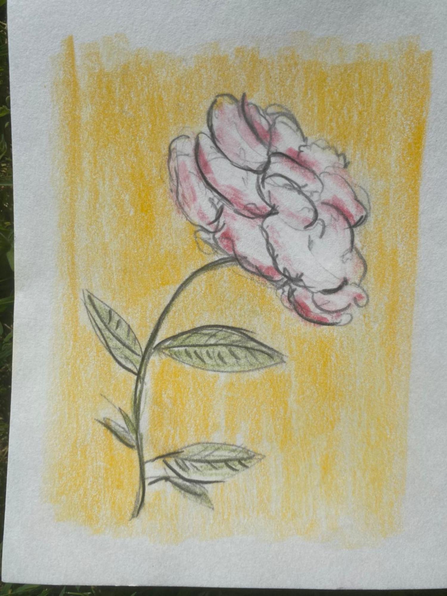 Il Casale Delle Rose Aparthotel Paganico  Exteriör bild